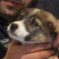 wantel's Avatar