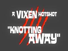 ArtOfZoo Vixen Knotting Away