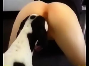 Hot Girl Licked by Dog