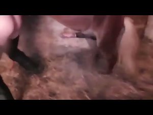 woman fucked by pony whit Kondom