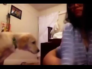 Dog Butt Licking Porn - Asian Licked Clean By Dog on webcam - Adult Script Pro 3