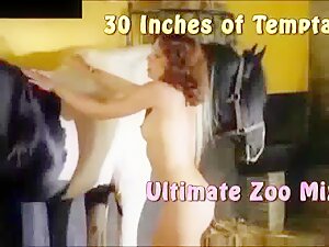 Ultimate Zoo Mix 3 - Just Horses