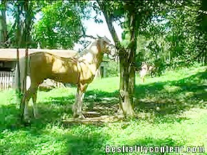 Bestiality Content Horse sex video